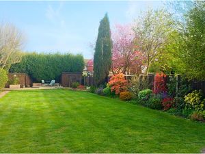 Photo 2- click for photo gallery